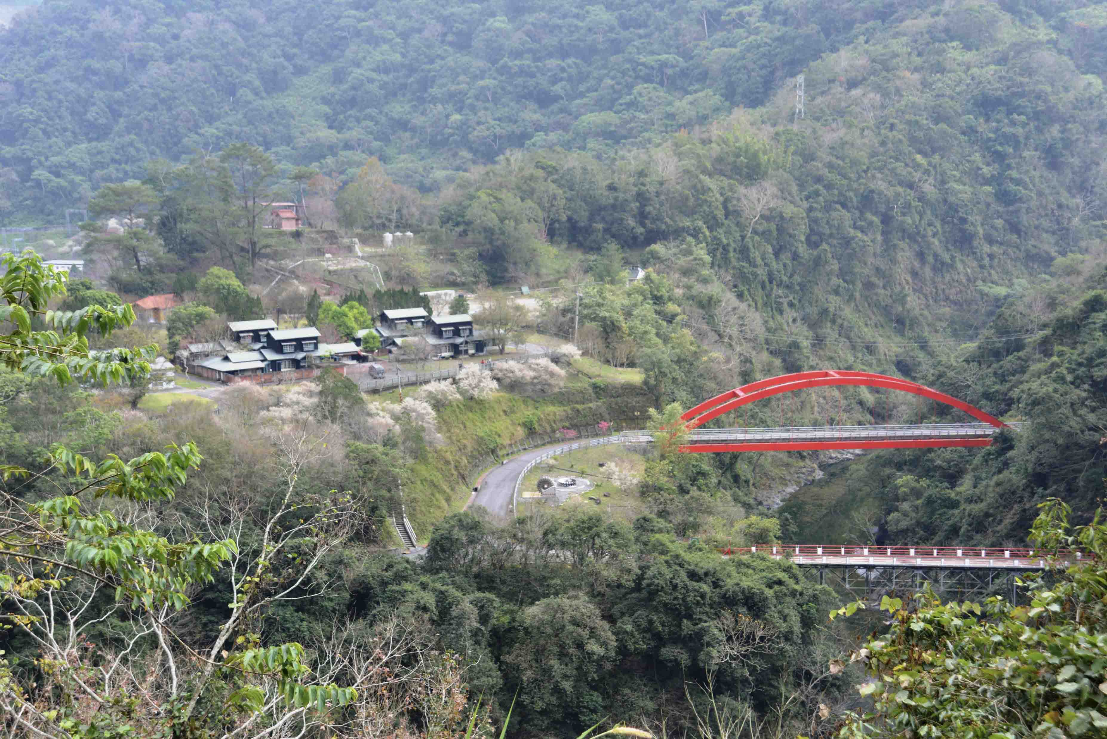 萬大發電廠環境