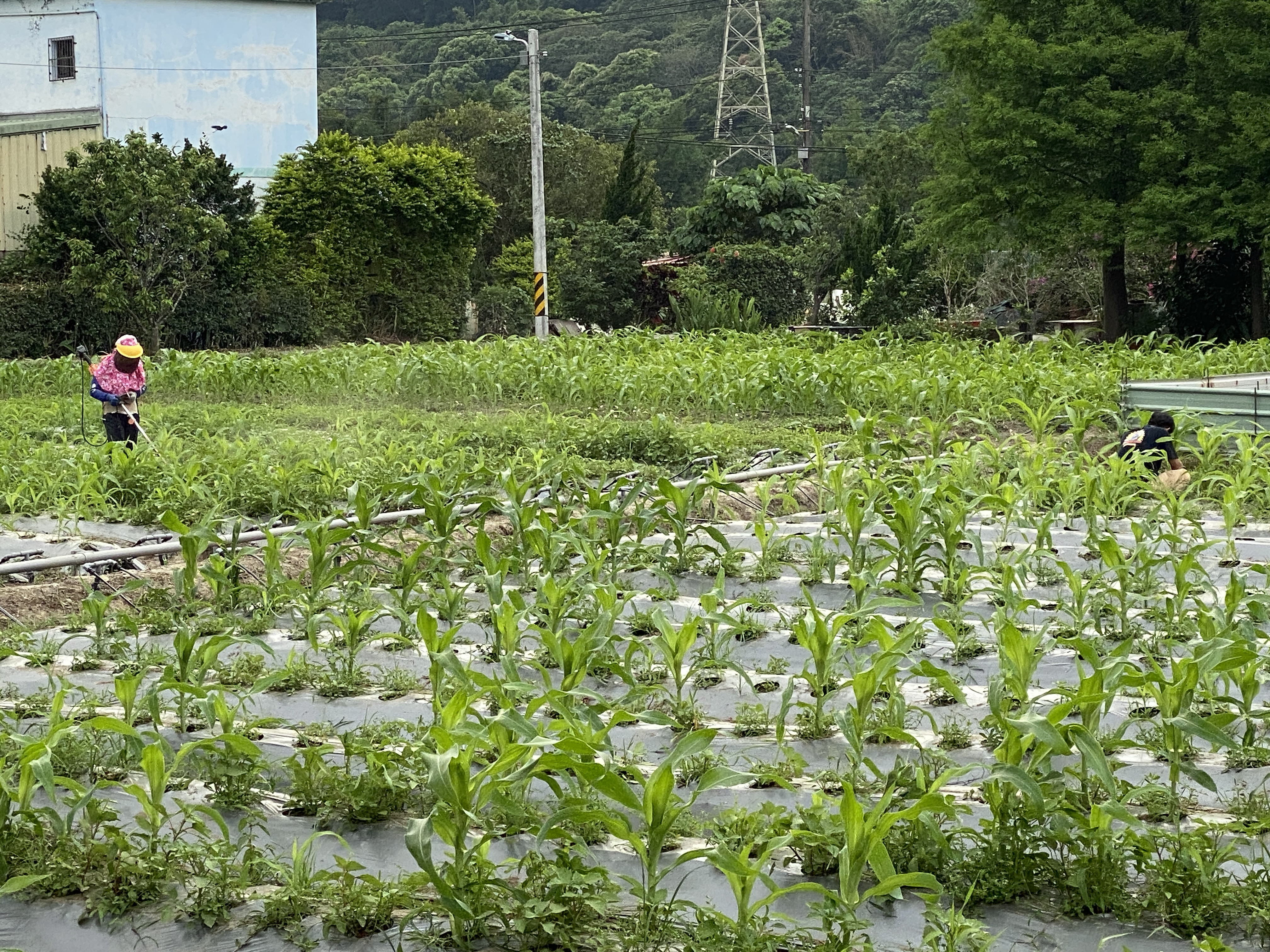 中庄智慧永續示範農場