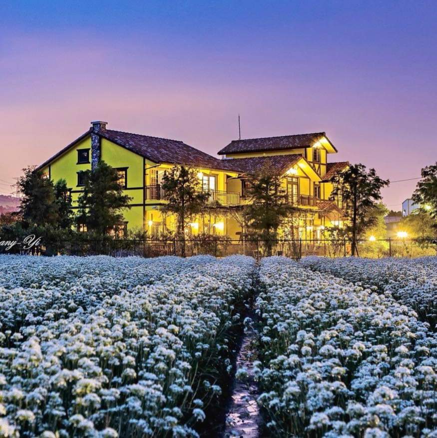 黃色小屋咖啡莊園