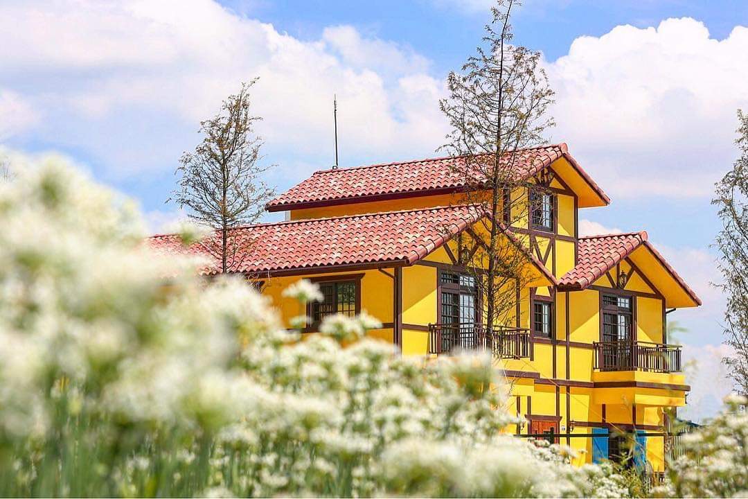 黃色小屋咖啡莊園